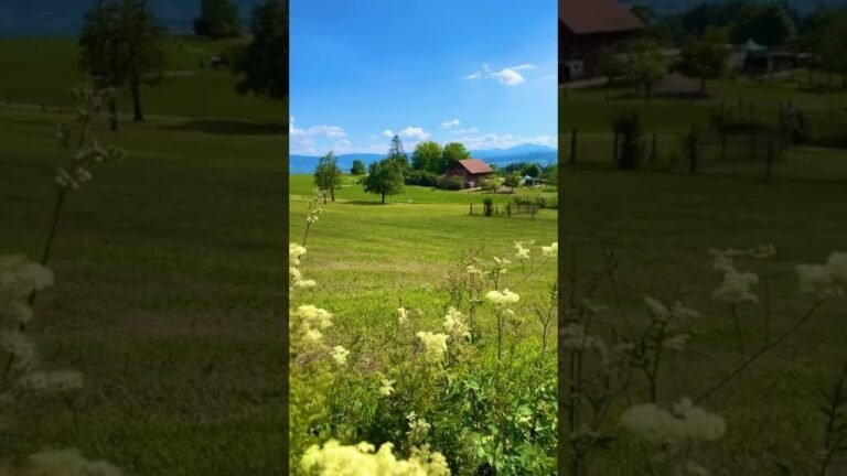 The peaceful rolling plains of Zürich || Switzerland Beauty